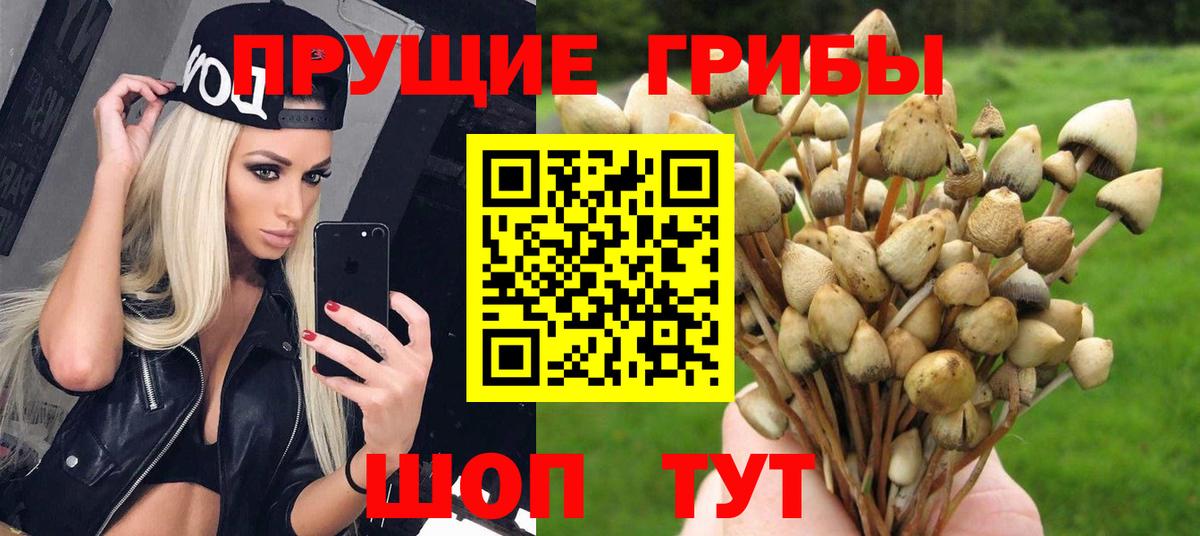 Красноярск  Псилоцибиновые грибы Magic Shrooms  что такое   Галлюциногенные грибы мухоморы  Вход с VPN 